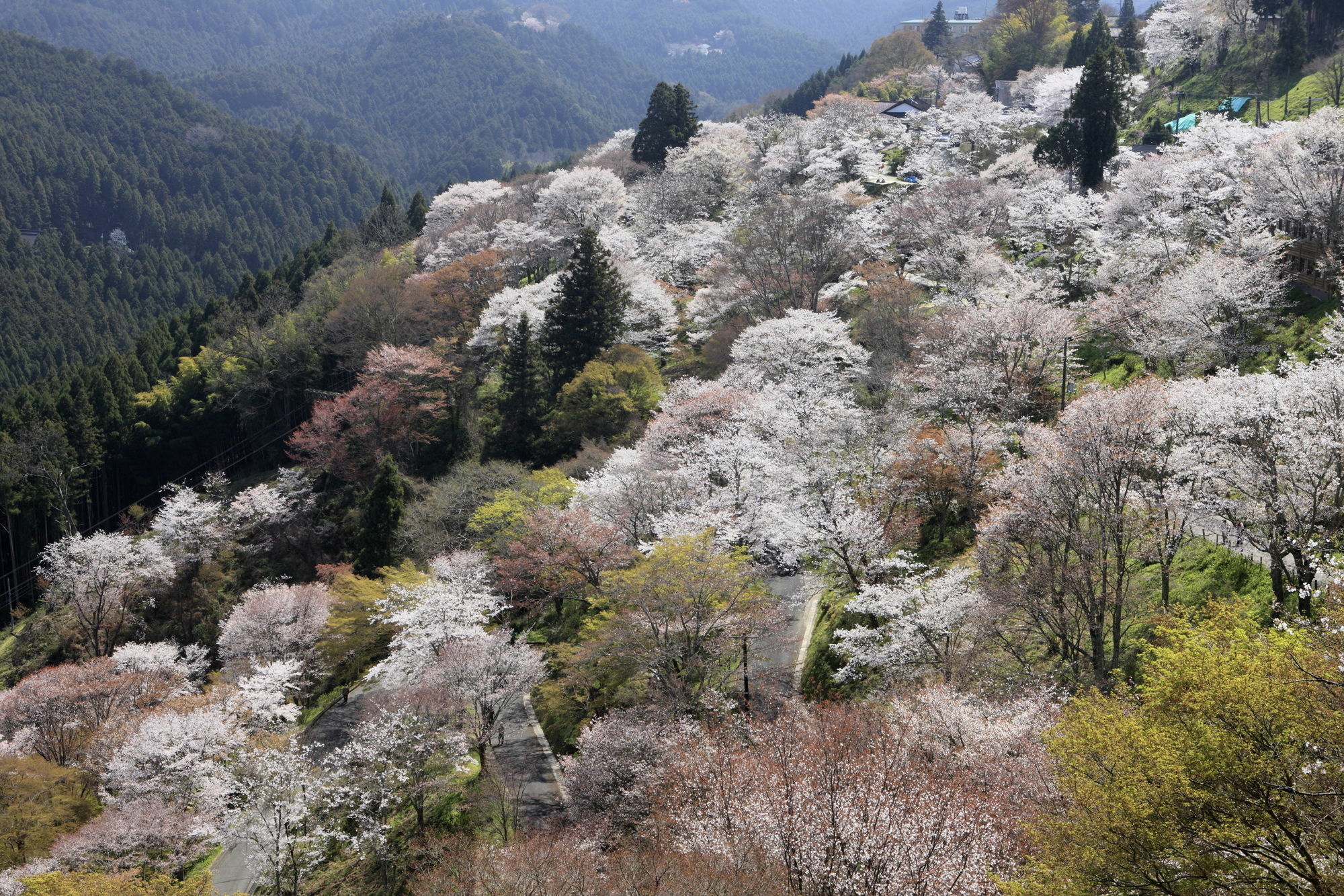 Ryokan Kato Yoshino  Bagian luar foto